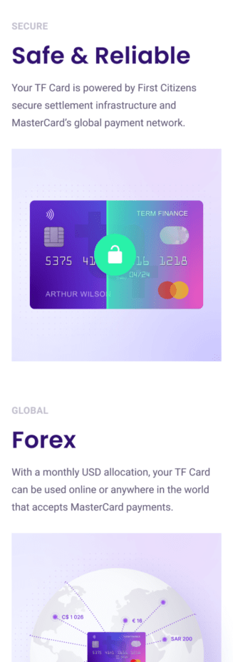 Term Finance