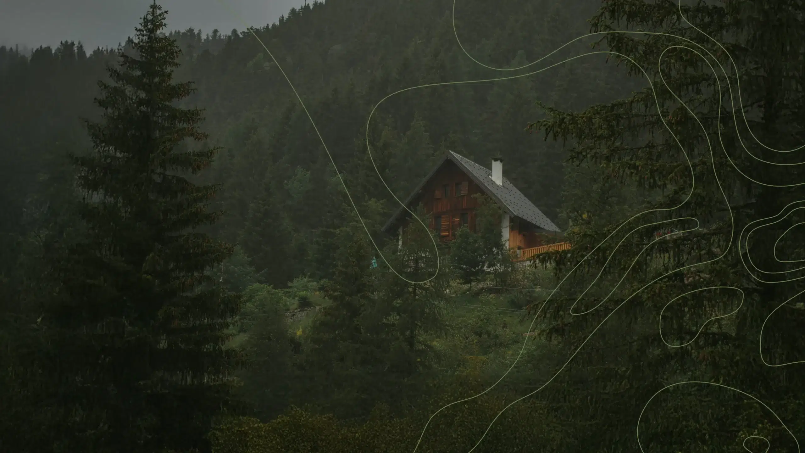 Play in the Woods